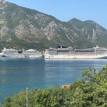 Luxury Dream View Apartment Kotor Zewnętrze zdjęcie