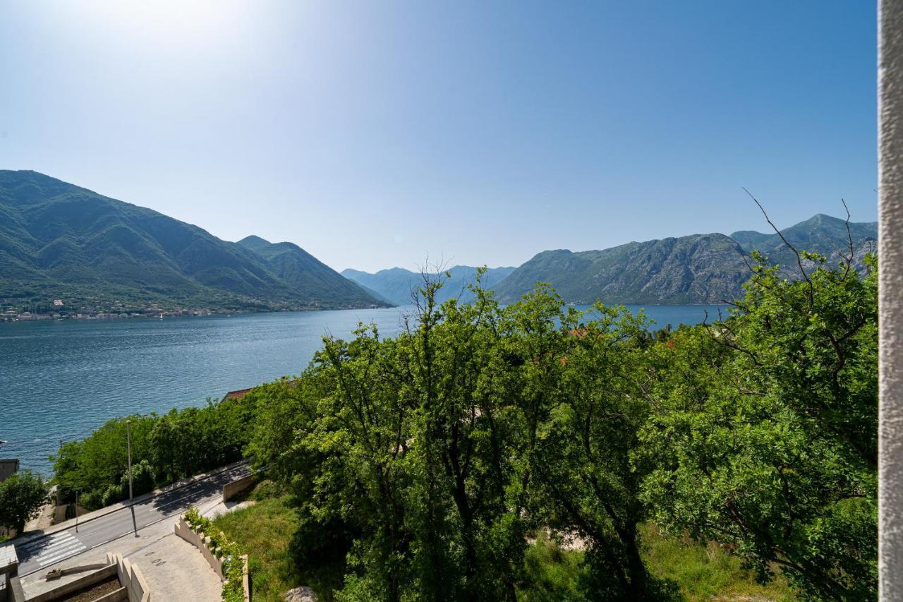 Luxury Dream View Apartment Kotor Zewnętrze zdjęcie